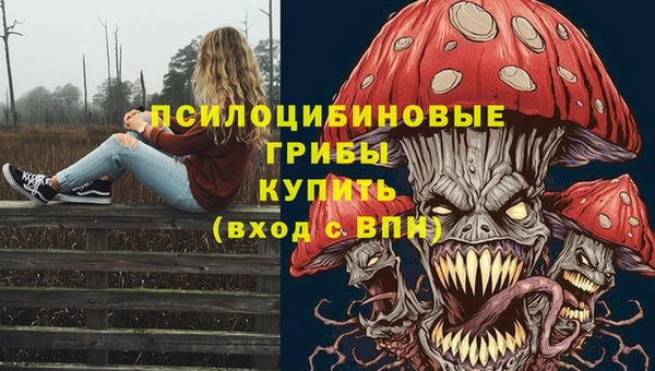гидра Балабаново