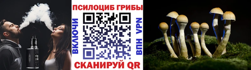 kraken ССЫЛКА  Никольское  Псилоцибиновые грибы GOLDEN TEACHER 